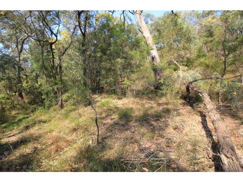 629-643 Halcrows Road, Cattai NSW 2756