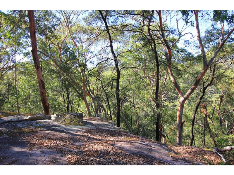 15-17 Heckenberg Road, Glenorie NSW 2157