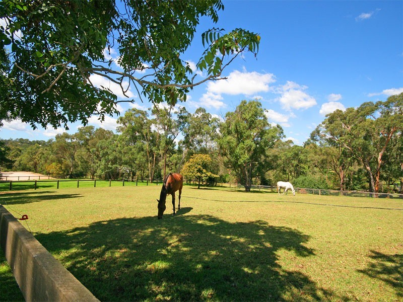 123 Pitt Town Road, Kenthurst NSW 2156