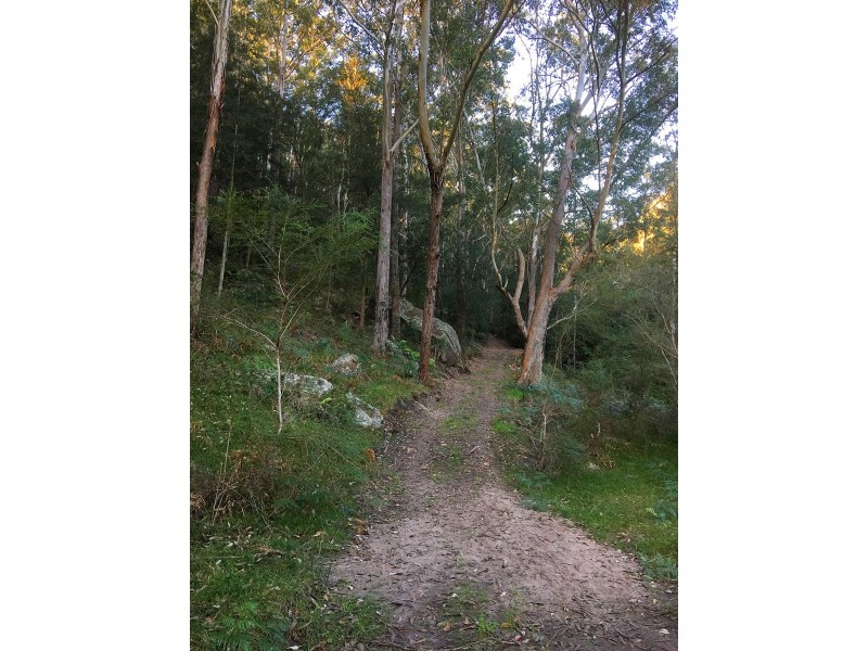 475 Webbs Creek Road, Webbs Creek NSW 2775