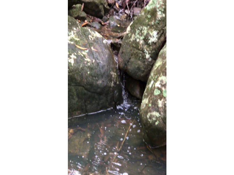 475 Webbs Creek Road, Webbs Creek NSW 2775