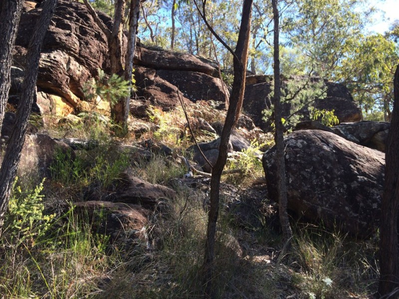 475 Webbs Creek Road, Webbs Creek NSW 2775