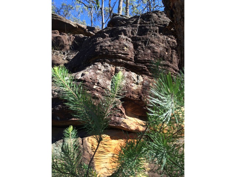 475 Webbs Creek Road, Webbs Creek NSW 2775