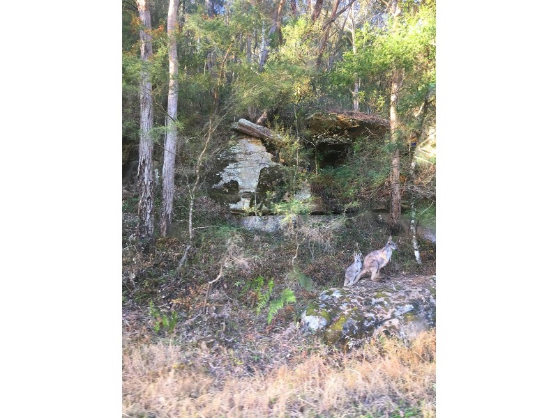 475 Webbs Creek Road, Webbs Creek NSW 2775