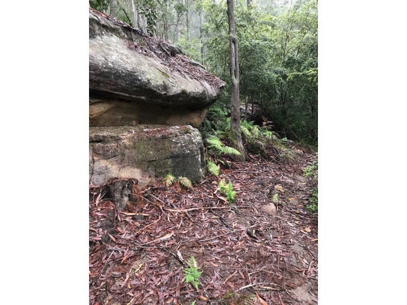 475 Webbs Creek Road, Webbs Creek NSW 2775