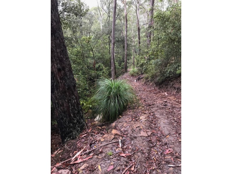 475 Webbs Creek Road, Webbs Creek NSW 2775