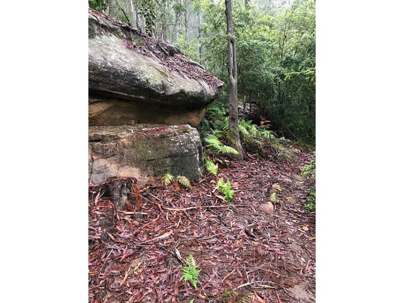 475 Webbs Creek Road, Webbs Creek NSW 2775