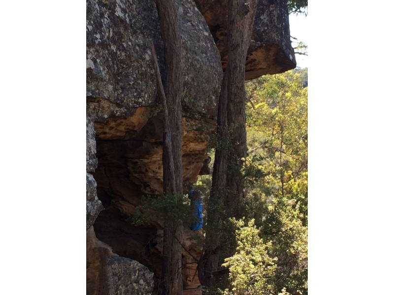 475 Webbs Creek Road, Webbs Creek NSW 2775