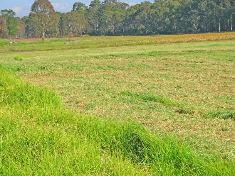 Ebenezer NSW 2756