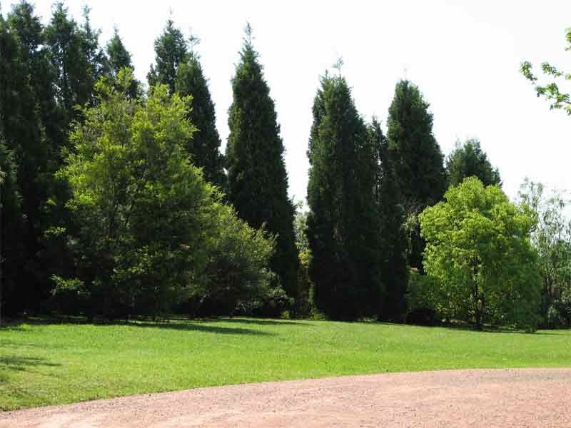10 Carters Road, Dural NSW 2158