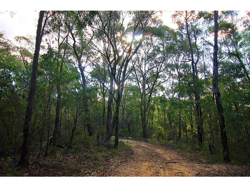 3472 Old Northern Road, Glenorie NSW 2157