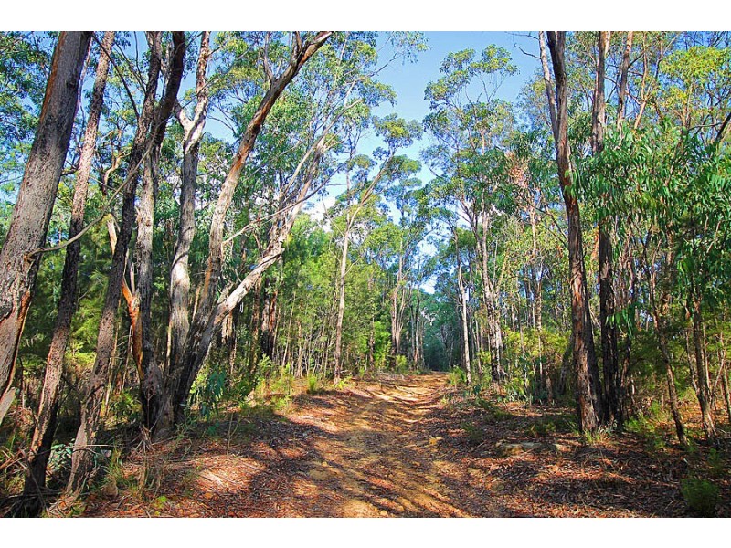 3472 Old Northern Road, Glenorie NSW 2157