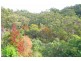 Glenhaven NSW 2156