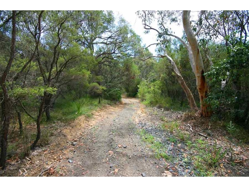 35 Geelans Road, Arcadia NSW 2159