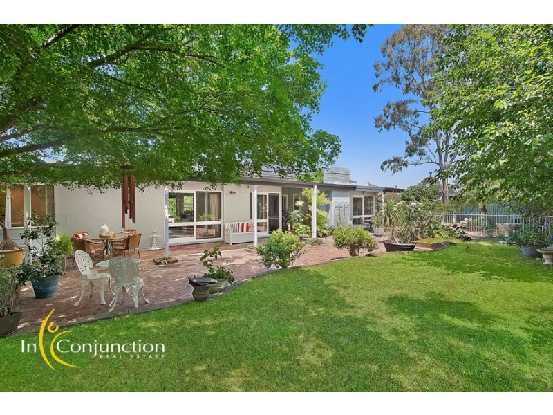 14 Damsel Court, Castle Hill NSW 2154