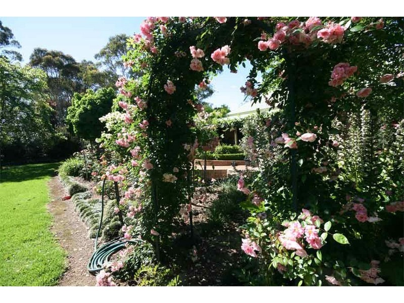 137 Floyds Road, South Maroota NSW 2756