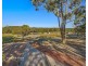 20 Marra Avenue, Canoelands NSW 2157