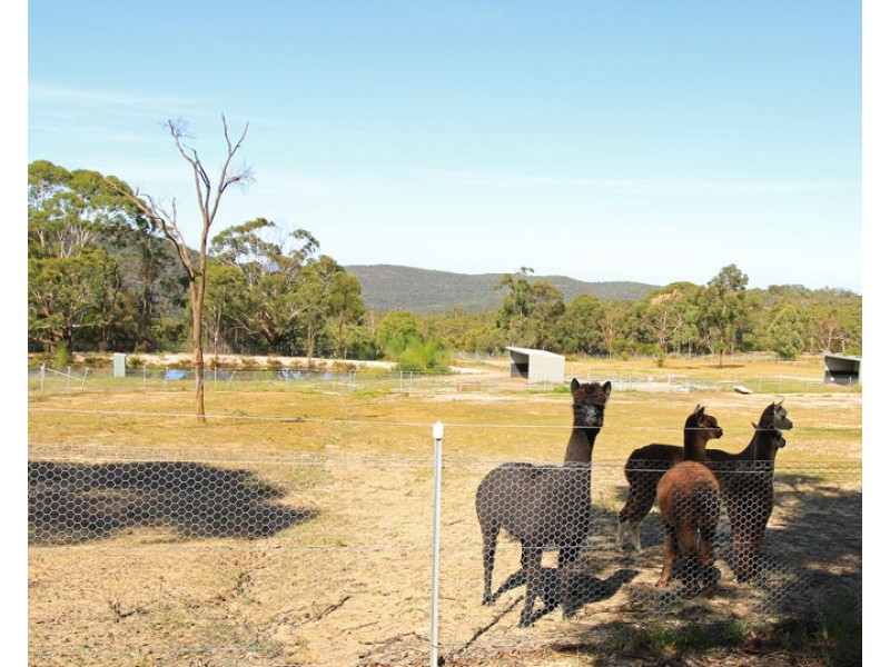 20 Marra Avenue, Canoelands NSW 2157