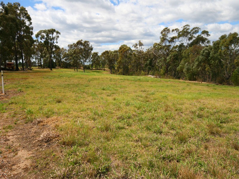 31 Calabash Road, Arcadia NSW 2159