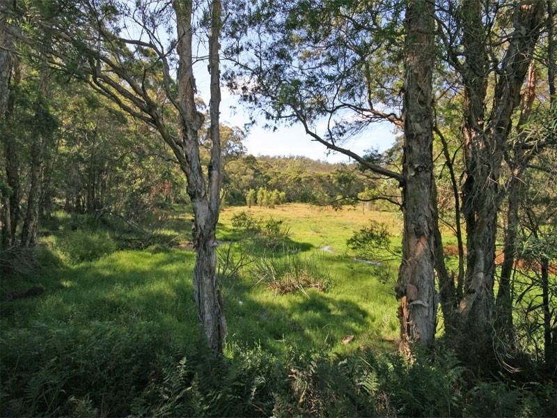 624A Cliftonville Road, Lower Portland NSW 2756