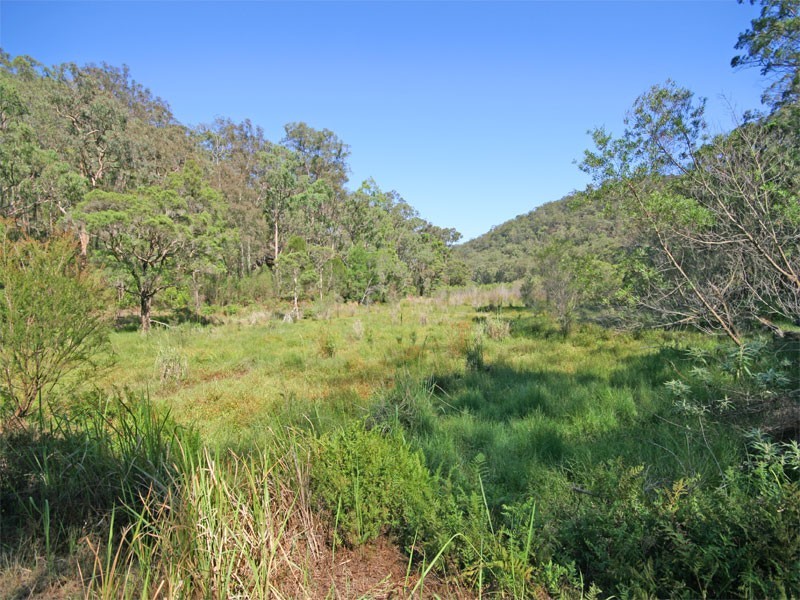 624A Cliftonville Road, Lower Portland NSW 2756