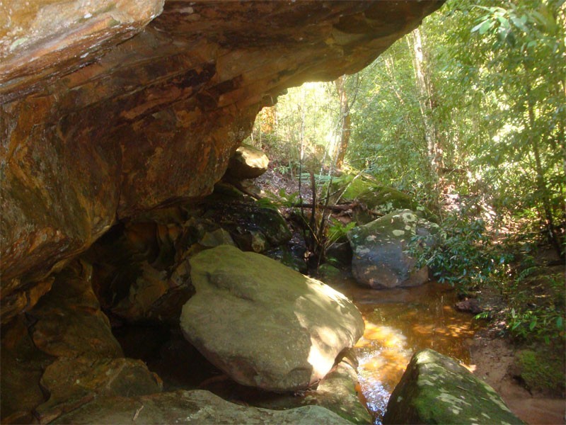 1 Goodier Place, Kenthurst NSW 2156