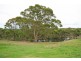 17 Peebles Road, Arcadia NSW 2159