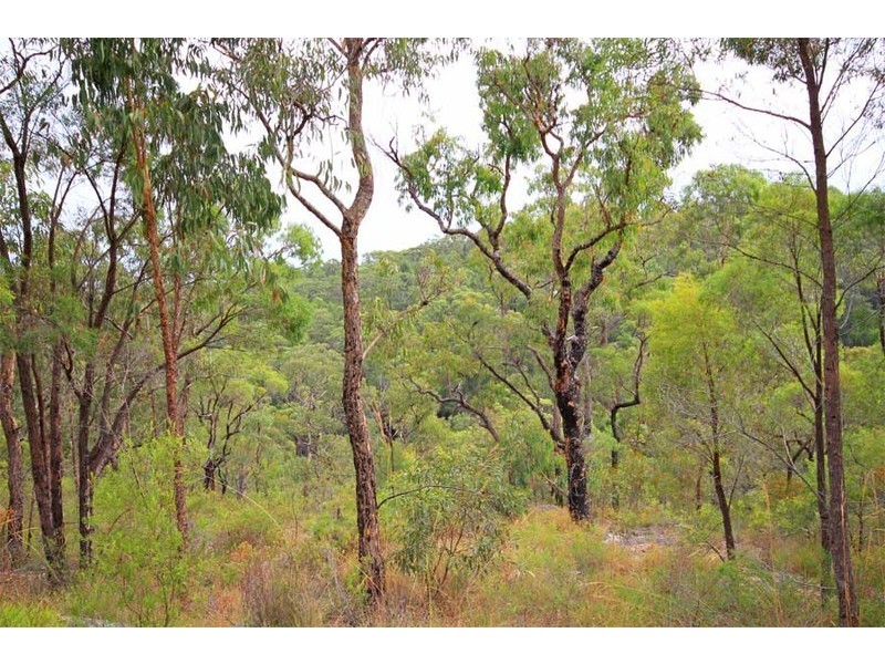 85 Jacks Lane, Maroota NSW 2756