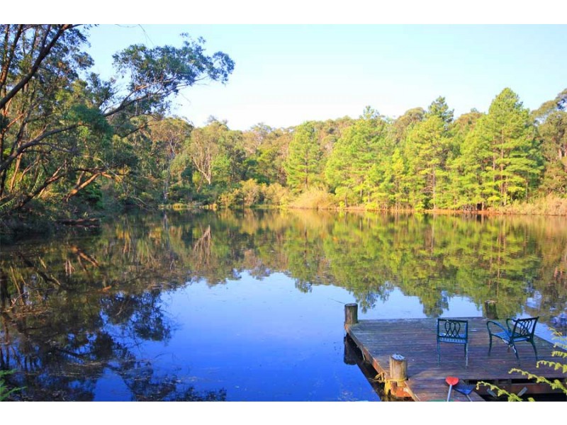 51 Cobah Road, Arcadia NSW 2159