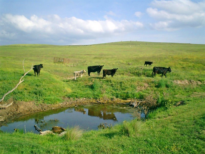 180 Majors Creek Road, Braidwood NSW 2622