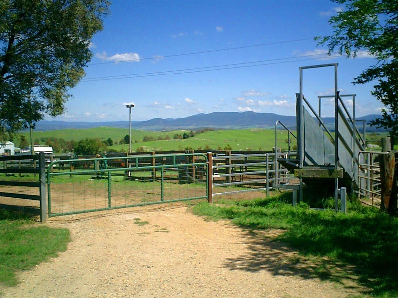 180 Majors Creek Road, Braidwood NSW 2622