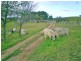 180 Majors Creek Road, Braidwood NSW 2622