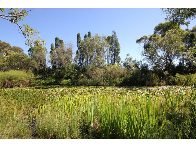 151 Arcadia Road, Arcadia NSW 2159