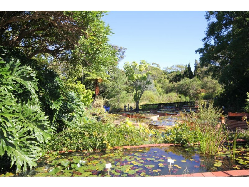 151 Arcadia Road, Arcadia NSW 2159