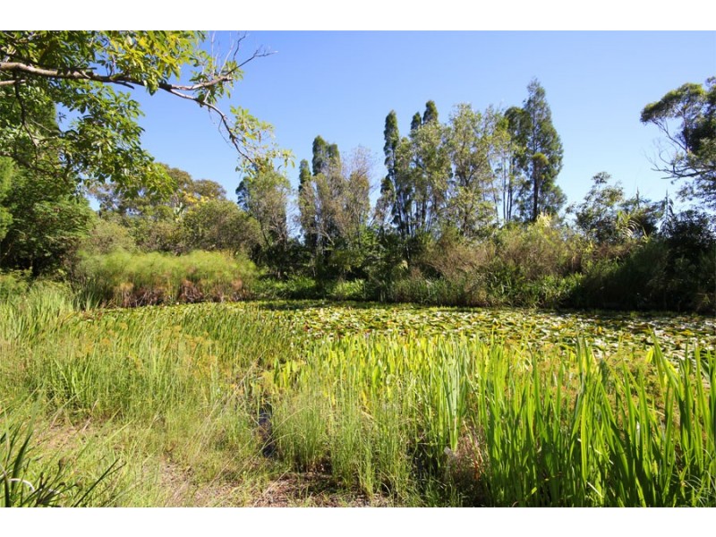 151 Arcadia Road, Arcadia NSW 2159