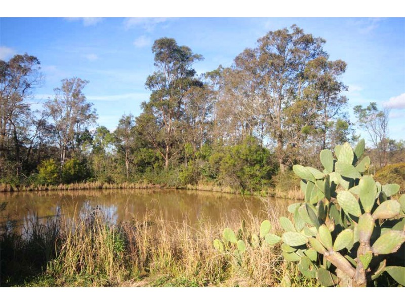 1467 Old Northern Road, Glenorie NSW 2157