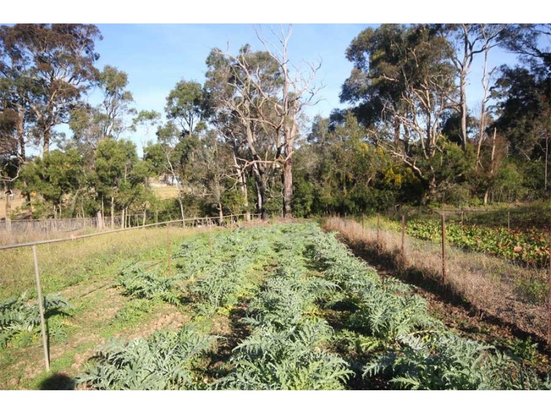 1467 Old Northern Road, Glenorie NSW 2157