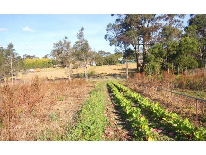 1467 Old Northern Road, Glenorie NSW 2157