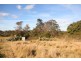 1467 Old Northern Road, Glenorie NSW 2157