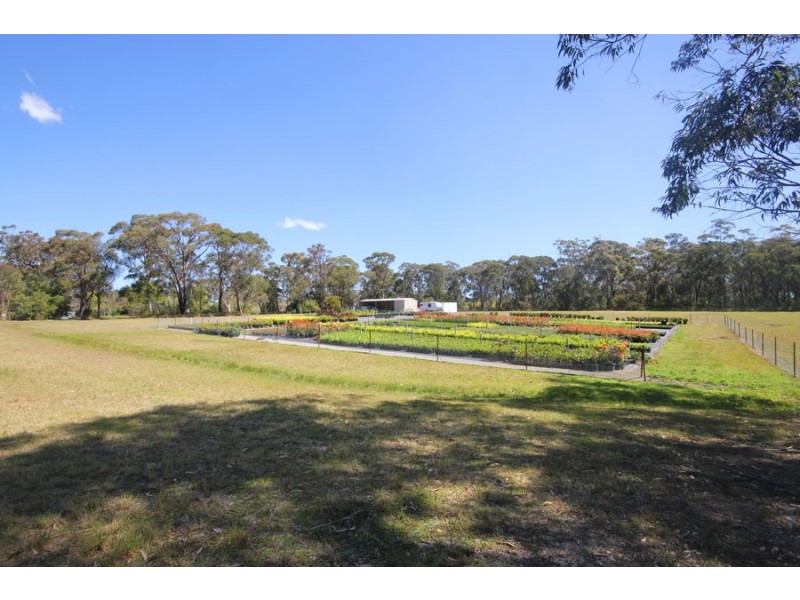 48-50 Peebles Road, Arcadia NSW 2159