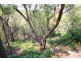 1 Muraban Road, Dural NSW 2158