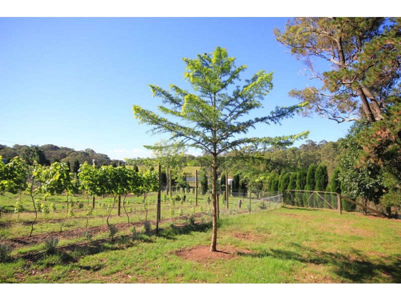 125 Arcadia Road, Arcadia NSW 2159