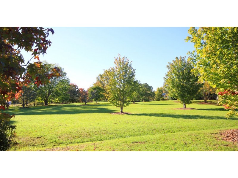 10 Arrunga Road, Arcadia NSW 2159