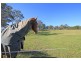 1 Banksia Place, Arcadia NSW 2159