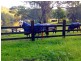 Webbs Creek NSW 2775