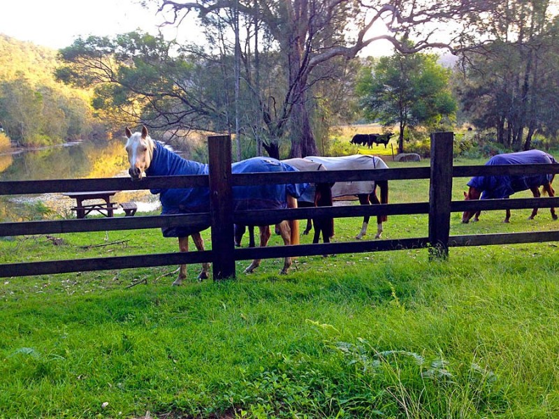 Webbs Creek NSW 2775