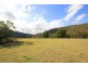 Webbs Creek NSW 2775