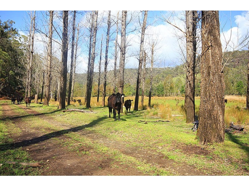 Webbs Creek NSW 2775