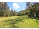 Webbs Creek NSW 2775