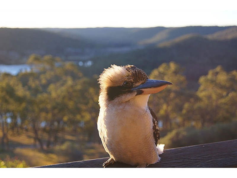 661 Clliftonville Road, Lower Portland NSW 2756